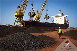 ماه طلایی صبانور در شهریور ۱۴۰۴؛ تحقق ۱۰۹٪ برنامه تولید