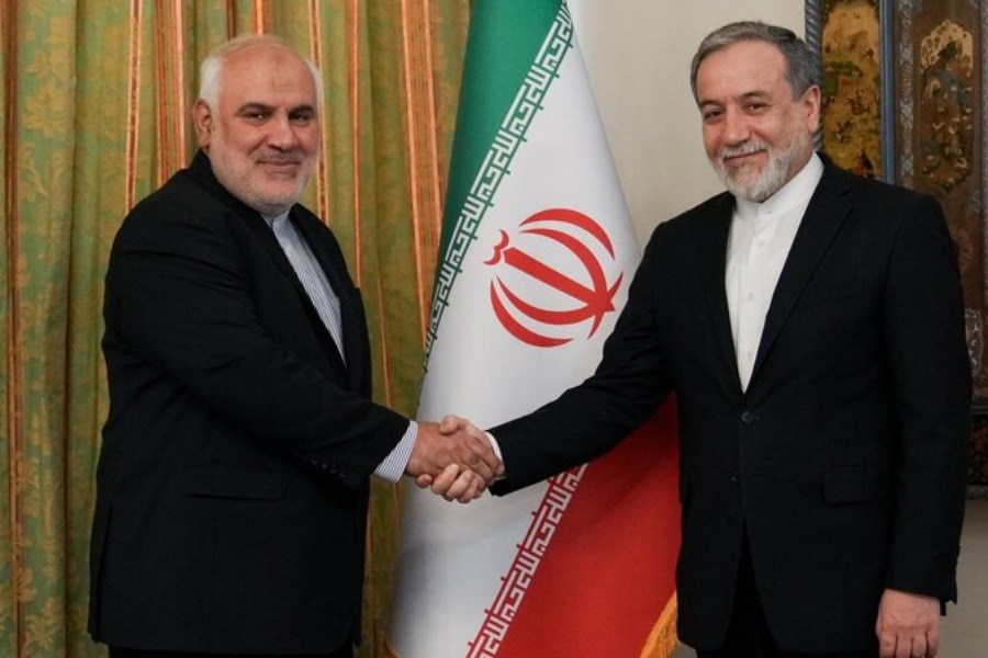 تصویر دیدار سفیر جدید ایران در هند با عراقچی