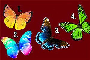 تست روانشناسی پروانه‌ها