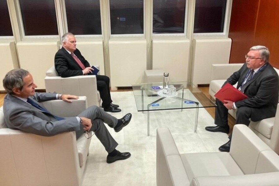 تصویر در دیدار اولیانوف با گروسی درباره ایران چه گذشت؟