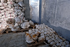 توزیع غذای مسموم متوقف شد؛ ۱۰ تُن کله‌پاچه فاسد در اصفهان