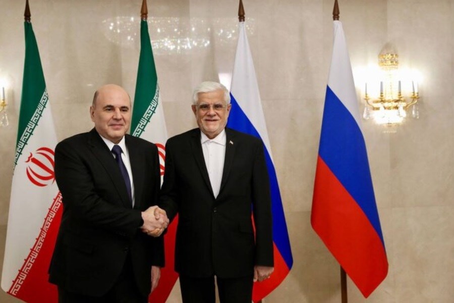 دیدار عارف با نخست وزیر روسیه