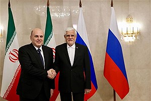 دیدار عارف با نخست وزیر روسیه