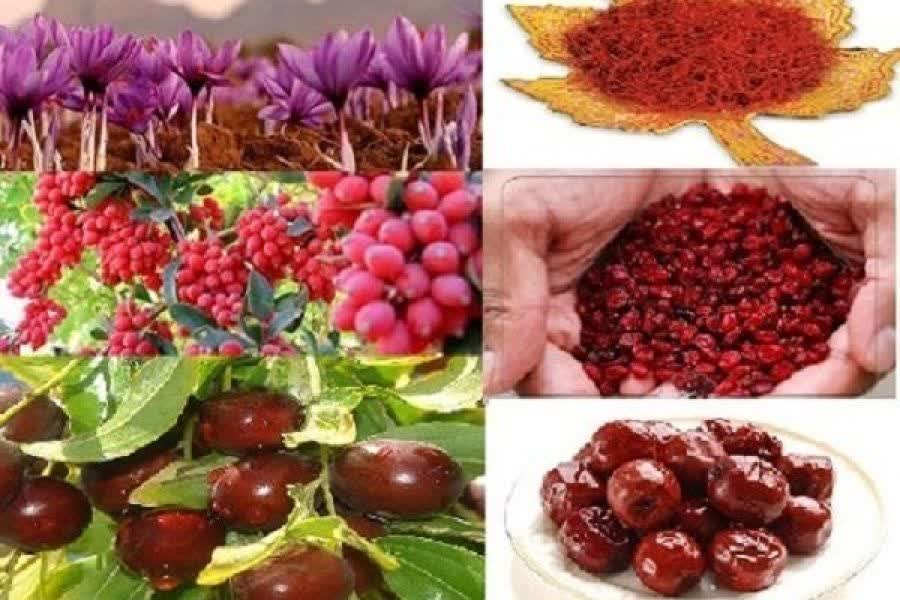 تا کی خام‌فروشی؟ تا کی فله‌ای بردن و بی‌ضابطه فروختن محصولات خراسان جنوبی؟