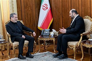 دیدار عراقچی با نائب‌رئیس جریان حکمت ملی عراق