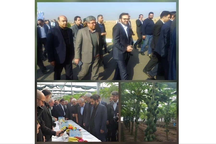 تصویر بازدید وزیر اقتصاد و مدیرعامل بانک کشاورزی از پروژه راهبردی «گوزل طبیعت ارس»