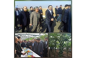 بازدید وزیر اقتصاد و مدیرعامل بانک کشاورزی از پروژه راهبردی «گوزل طبیعت ارس»