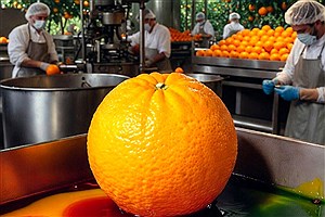 رنگ‌های صنعتی روی پرتقال؛ آیا سلامت مردم در خطر است؟