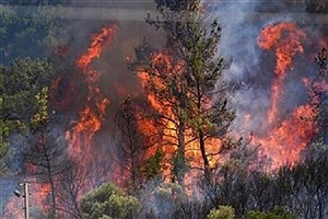 آتش‌سوزی تازه در جنگل‌های ماسال؛ خطری که دوباره زبانه کشید