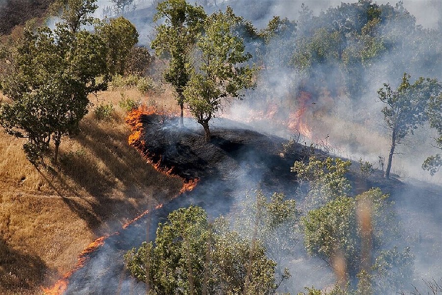 تصویر جنگل‌های هیرکانی در انتظار بارش برای اطفای کامل حریق