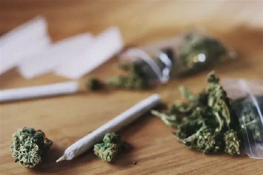 تصویر گل مغز ایرانی‌ها را می‌خورد! &#47; عوارض مصرف گل در ایران، خطرناک‌تر از شیشه و کوکائین