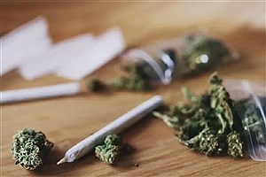 گل مغز ایرانی‌ها را می‌خورد! &#47; عوارض مصرف گل در ایران، خطرناک‌تر از شیشه و کوکائین