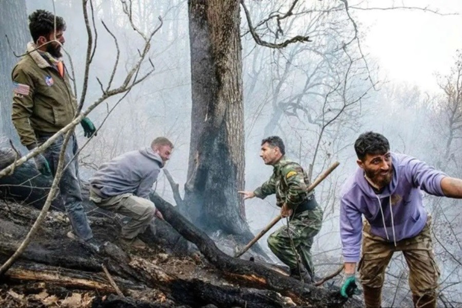 تصویر عامل آتش‌سوزی جنگل‌های هیرکانی بابل دستگیر شد