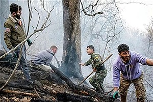 عامل آتش‌سوزی جنگل‌های هیرکانی بابل دستگیر شد