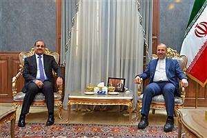 ملاقات سفیر ایران در عراق با استاندار بغداد