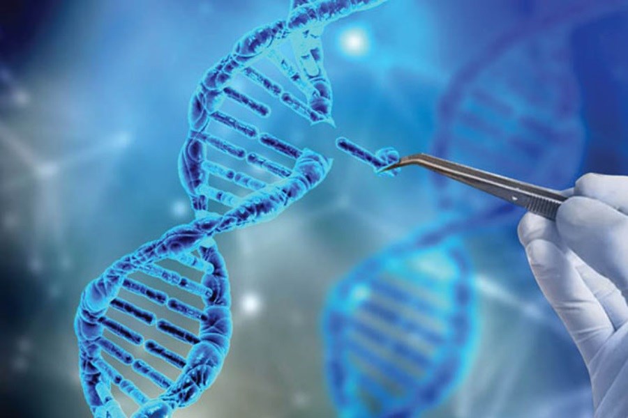 تصویر ارائه رایگان آزمایش‌های ژنتیک به افراد دارای معلولیت در خراسان رضوی آغاز شد