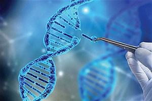 ارائه رایگان آزمایش‌های ژنتیک به افراد دارای معلولیت در خراسان رضوی آغاز شد
