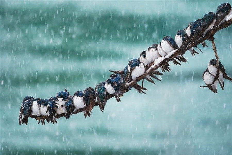 هشدار هواشناسی: کاهش دما و هشدار بارش برف و باران در 16 استان