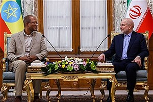 دیدار رئیس مجلس نمایندگان اتیوپی با قالیباف