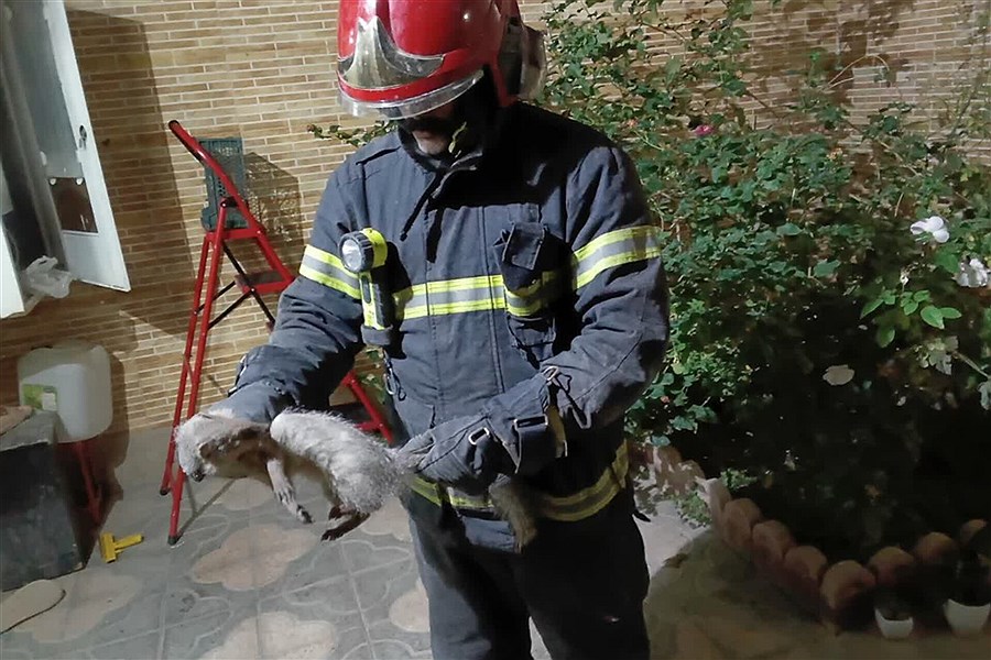 تصویر پایان سفر خدنگ بازیگوش به خانه مردم؛ مأموریت موفقیت‌آمیز آتش‌نشانی اصفهان