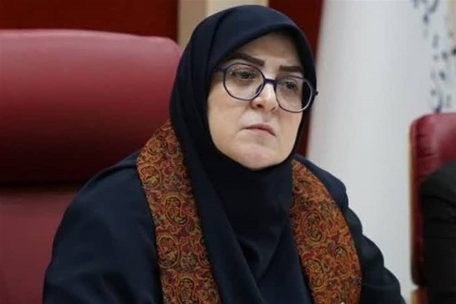 سخنگوی دولت در قزوین چه گفت و چه کرد؟