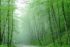 روستای ۵۰۰ ساله گیسوم تالش نامزد ثبت جهانی شد