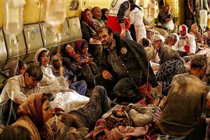 «آقای زالو» صدرنشین فروش سینما در پاییز