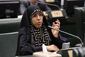 تورم، گرانی و نوسانات ارز حاصل مدیریت نادرست و سودجویی قبیله‌ای است