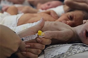 مدیر بهداشت غزه: جنگ اسرائیل با جنین‌ها و کاهش چشمگیر تولد نوزادان