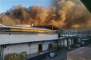 آتش سوزی شدید در شرکت لبنیانی کاله آمل