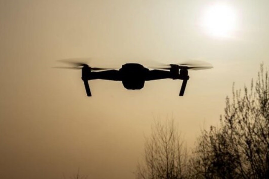 رصد حریم‌ شهر تهران با ریزپرنده‌ها