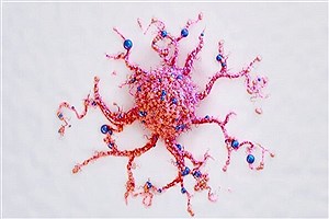 تشخیص زودهنگام سرطان تنها با یک آزمایش ساده ادرار