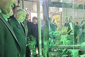 وحدت و همدلی مردم، پاسخ واقعی به آشوبگران است