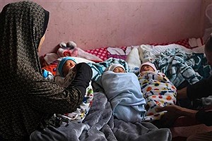 ثبت‌نام زمین برای خانواده‌های ۴ فرزند زیر ۲۰ سال؛ هشدار یک ماهه مجلس