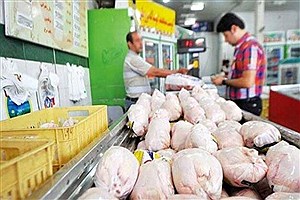 اعلام قیمت تمام‌شده مرغ و محصولات طیور بر اساس نرخ نهاده‌ها