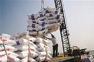 انجمن برنج خواستار اولویت‌دهی دولت به ساماندهی بازار شد