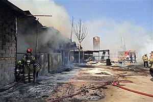 مهار آتش‌سوزی گسترده در گاراژ چوب‌بری آزادگان؛ بدون تلفات جانی