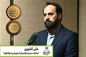 «نوی‌پو»؛ نمونه‌ای از هم‌افزایی دولت، بانک کشاورزی و مجلس در حمایت عملی از تولید است