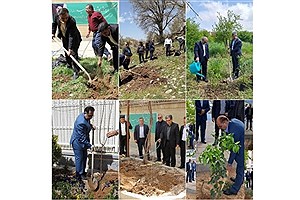 مشارکت مدیران استانی بانک کشاورزی در پویش «غرس نهال امید»