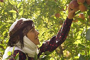 پخش سریال مادران با بازی رویا افشار از شبکه یک سیما آغاز شد