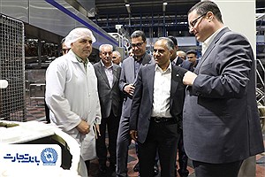 بانک تجارت حامی توسعه و افزایش توان تولیدی «دومینو»