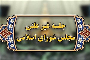 نمایندگان از عملکرد وزارت کار در جلسه غیرعلنی مجلس گلایه کردند
