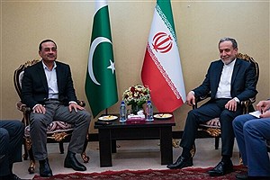 عاصم منیر با عراقچی دیدار کرد