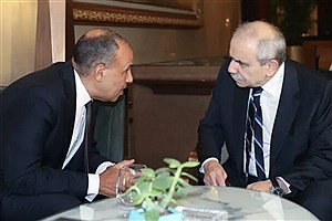 مصر خواستار خروج نیروهای صهیونیست از خاک لبنان شد