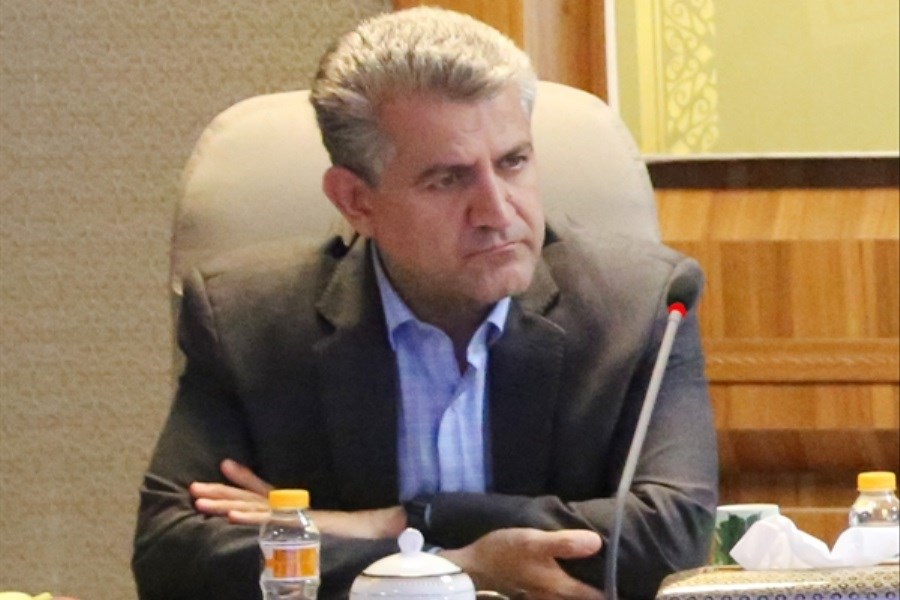 بانک کشاورزی: سودآوری شرط تداوم حمایت از تولید است