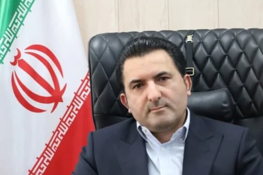 دولت از مدیریت مستقیم بازار مرغ و تخم‌مرغ عقب‌نشینی می‌کند