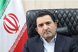 دولت از مدیریت مستقیم بازار مرغ و تخم‌مرغ عقب‌نشینی می‌کند