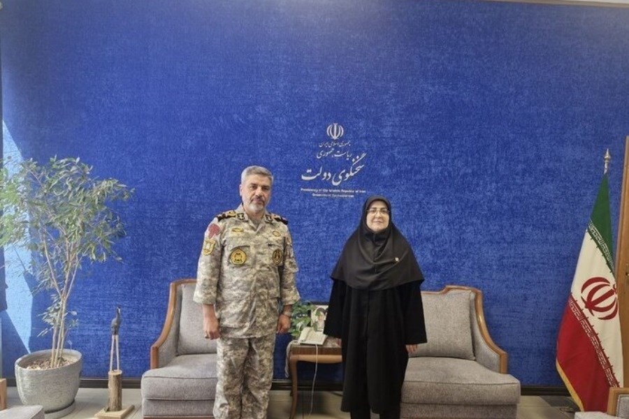 سخنگوی ارتش با سخنگوی دولت دیدار کرد