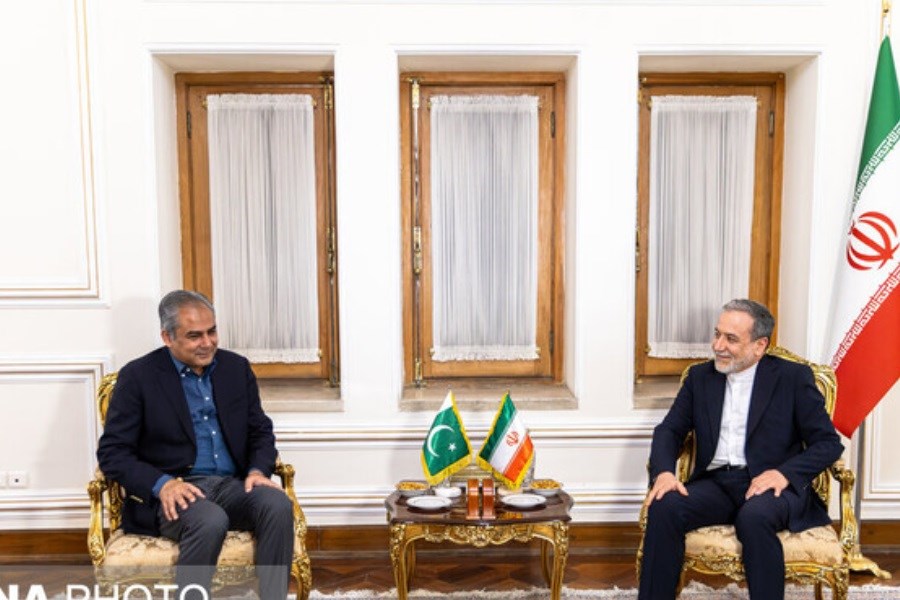وزیر کشور پاکستان با عراقچی دیدار کرد