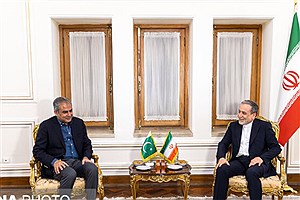 وزیر کشور پاکستان با عراقچی دیدار کرد